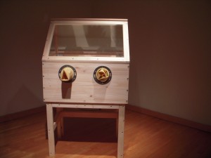 Constantina Zavitsanos, Conjuggle visit, wood, rubber, plexiglass, holographic image of grass, mirrors, 2009