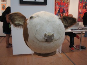 Geza Szollosi's friendly taxidermy cow head at Mauger