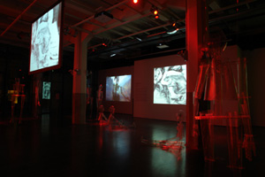Osvaldo Romberg, Theater of Transparency installation 