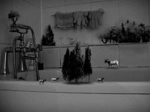still from Hiraki Sawa's 8 Minutes, video, 2005, courtesy the artist and James Cohan Gallery, NYC