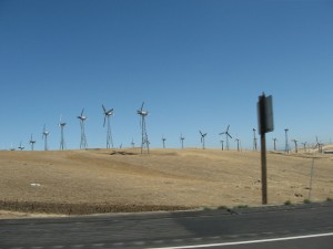 Wind turbines covered the landscape on the roads between Stockton and San Francisco.