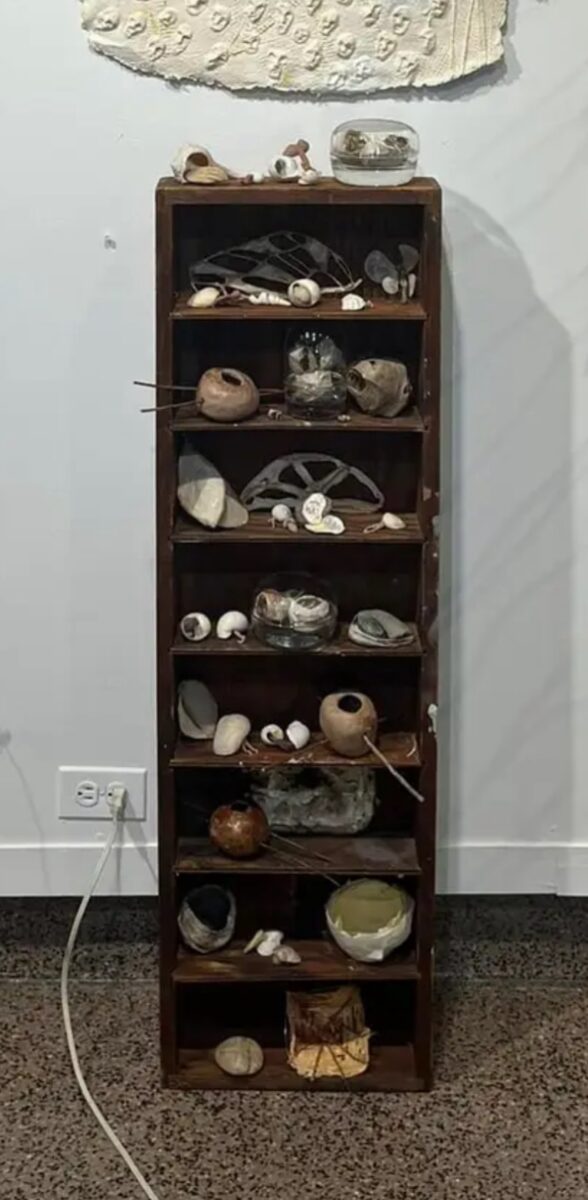 A tall narrow eight-shelved cabinet with no doors stands against a white wall, filled with found objects from the natural world, some enhanced with man-made touches, including what looks like eggs, nests, rocks and twigs.