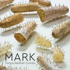 A book cover shows a group of abstract sculptural cones on their sides, each with porcupine quills piercing through the vessels. The book is called "MARK: Sonya Kelliher-Combs, and is a monograph about the iñupiat artist.