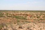 Artblog | Amarillo Ramp and Spiral Jetty – Robert Smithson’s First and ...