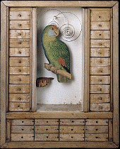 cornelluntitledaviarywithparrotdrawers